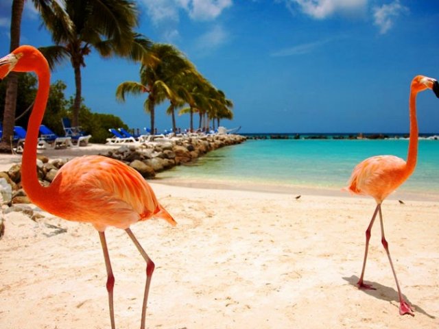 Melhores praias de Aruba