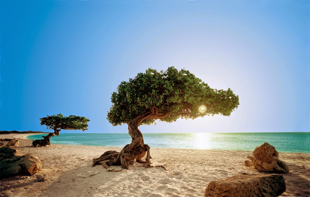 Melhores praias de Aruba no Caribe