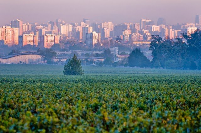 Vinícola Cousiño Macul em Santiago do Chile