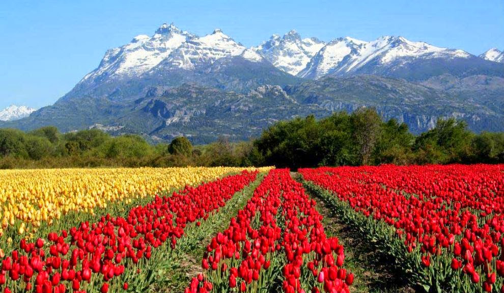 Paisagem em Bariloche