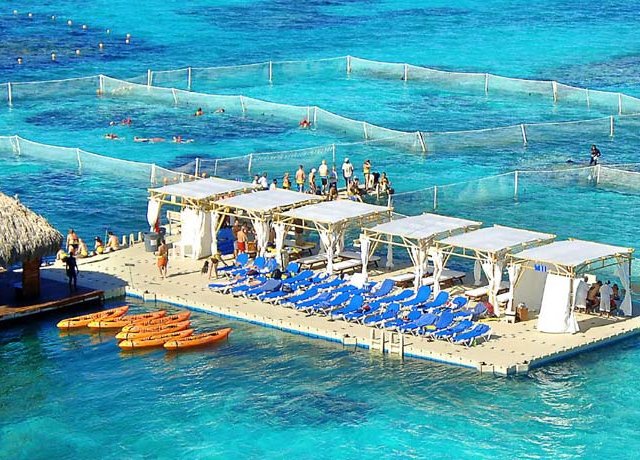 Marinarium em Punta Cana: Mergulho no mar